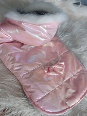 Small Dog Iridescent Outfit